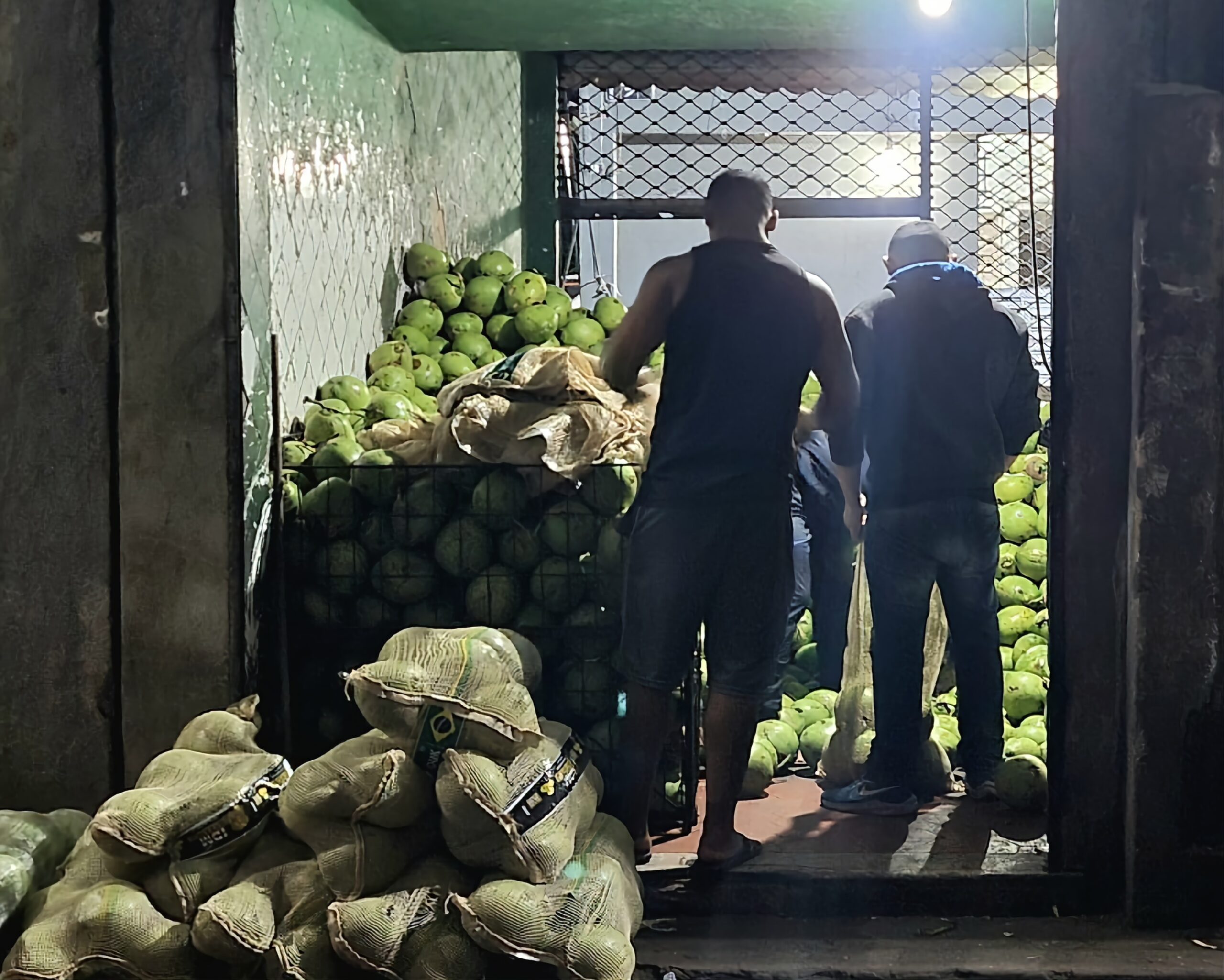 Cadeg: Coco verde barato no Rio de Janeiro